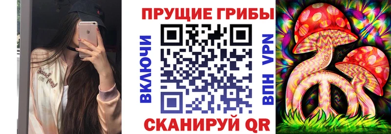 Купить закладки Камышин Псилоцибиновые грибы прущие грибы